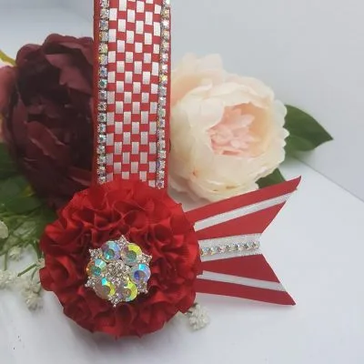 Red and White Mini Check Browband