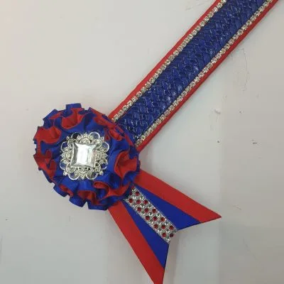 Red and Royal Blue Wet look Browband