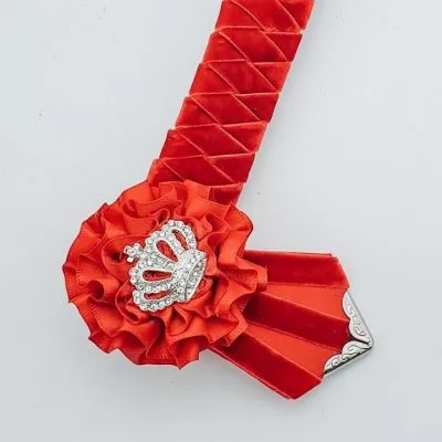 Red Velvet Diamond Browband
