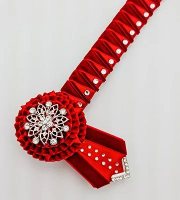 Red Ribbon Sharks Teeth Browband with crystals