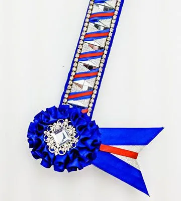 Red and Blue Silver Mirrored Browband