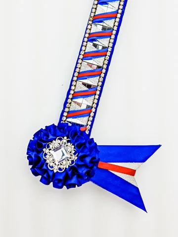 Red and Blue Silver Mirrored Browband